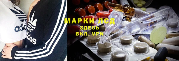 мяу мяу мука Баксан