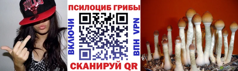 Псилоцибиновые грибы MAGIC MUSHROOMS  OMG зеркало  Покров  как найти  